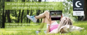 Webagentur Schubert Werbebanner